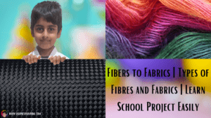 Fibers to Fabrics Types of Fibres and Fabrics Learn School Project Easily